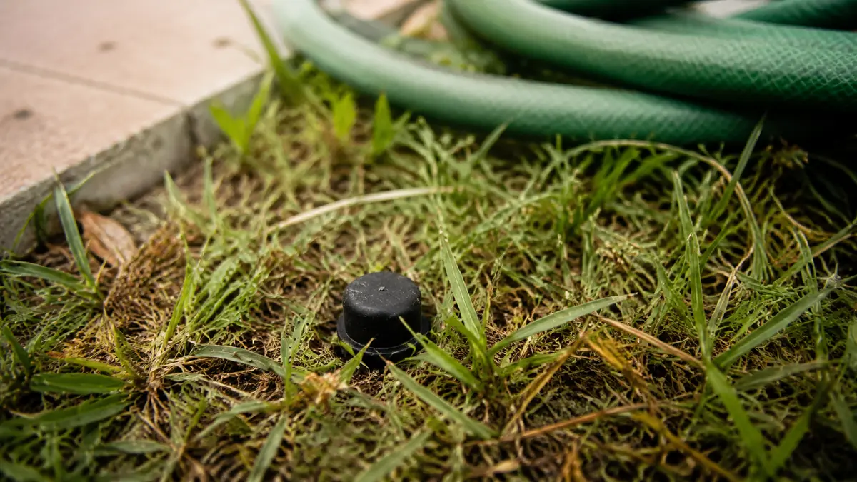 A silicone cap for a wireless thermometer charging block sitting lost in patio grass next to a garden hose